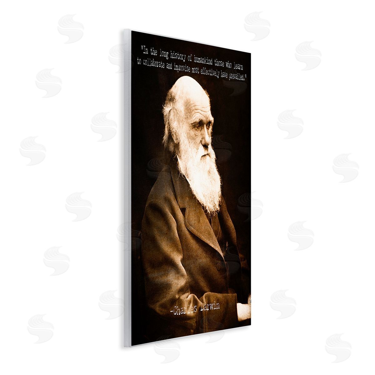 Graffitee Studios Inspiring Darwin Quote Wooden Wall Plaque Art Print