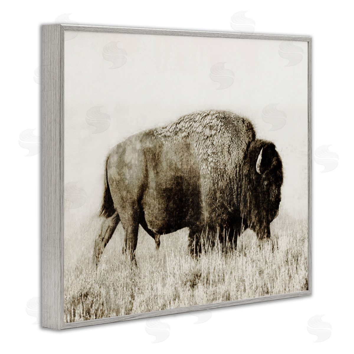 Dan Meneely Bison Grazing in Field Gray Framed Giclee Wall Art Print