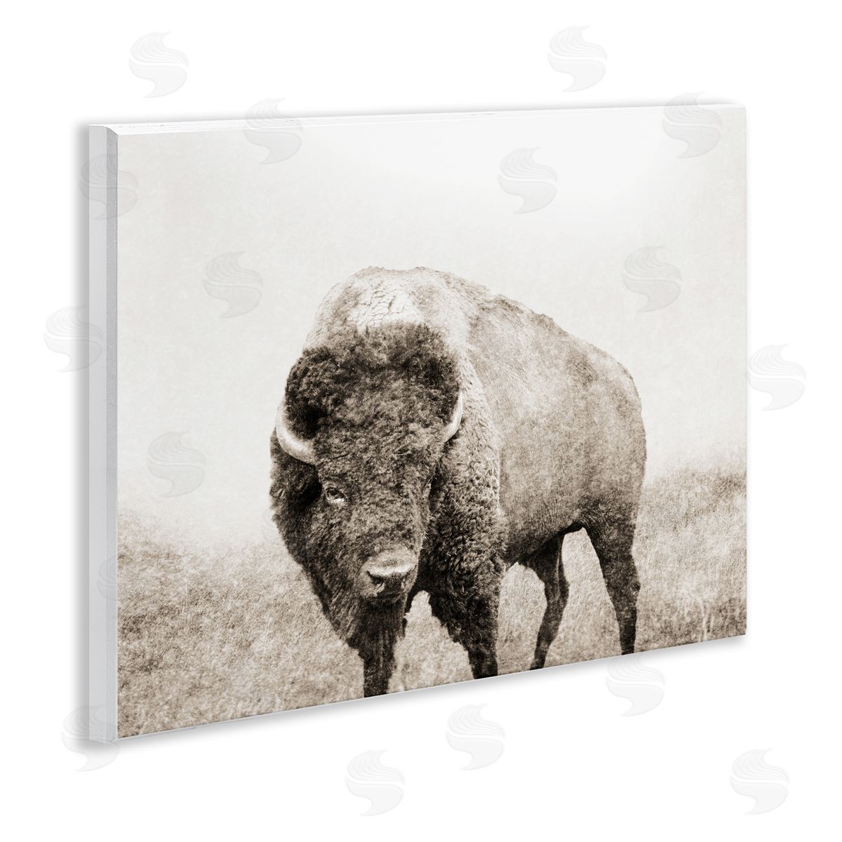 Bison Distressed Portrait Wood Plaque Wall Art, Home Decor by Dan Meneely