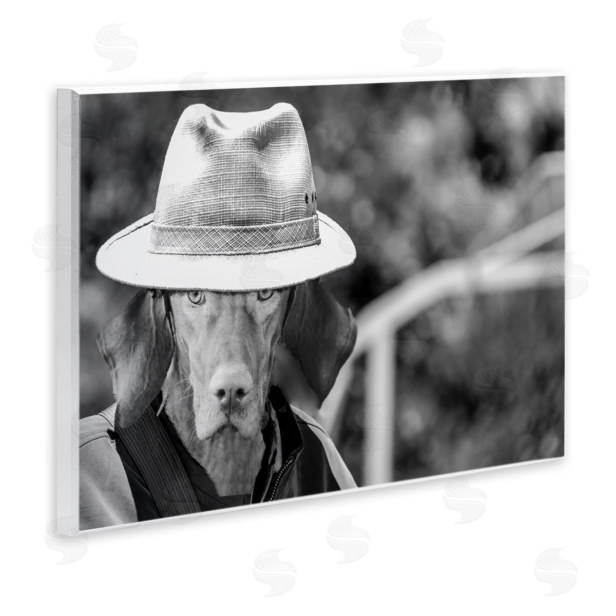Country Cowboy Dog Wood Plaque Wall Art, Home Decor by Sd Graphics Studio