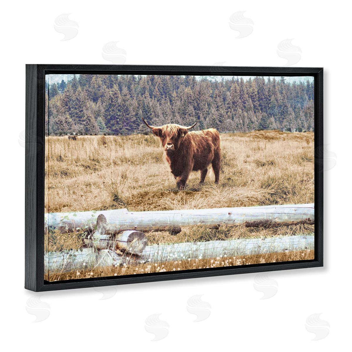 Country Cattle with Fence Black Floating Frame Canvas Wall Art, Home Decor by Gail Peck