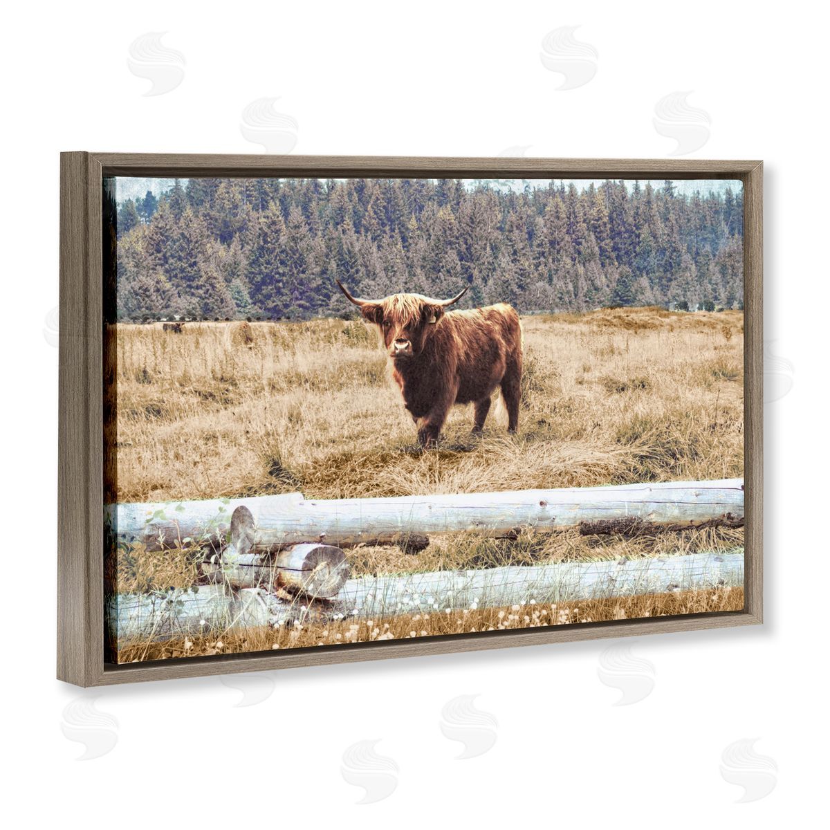 Country Cattle with Fence Brown Floating Frame Canvas Wall Art, Home Decor by Gail Peck
