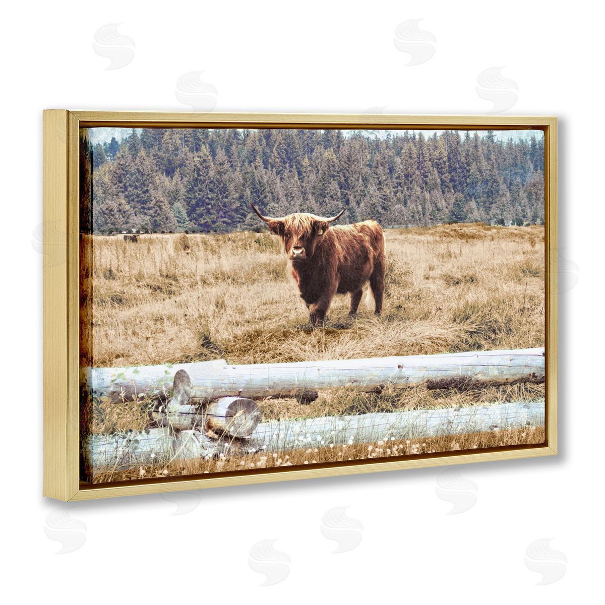 Country Cattle with Fence Gold Floating Frame Canvas Wall Art, Home Decor by Gail Peck