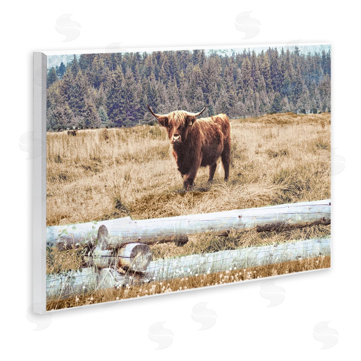 Country Cattle with Fence Wood Plaque Wall Art, Home Decor by Gail Peck