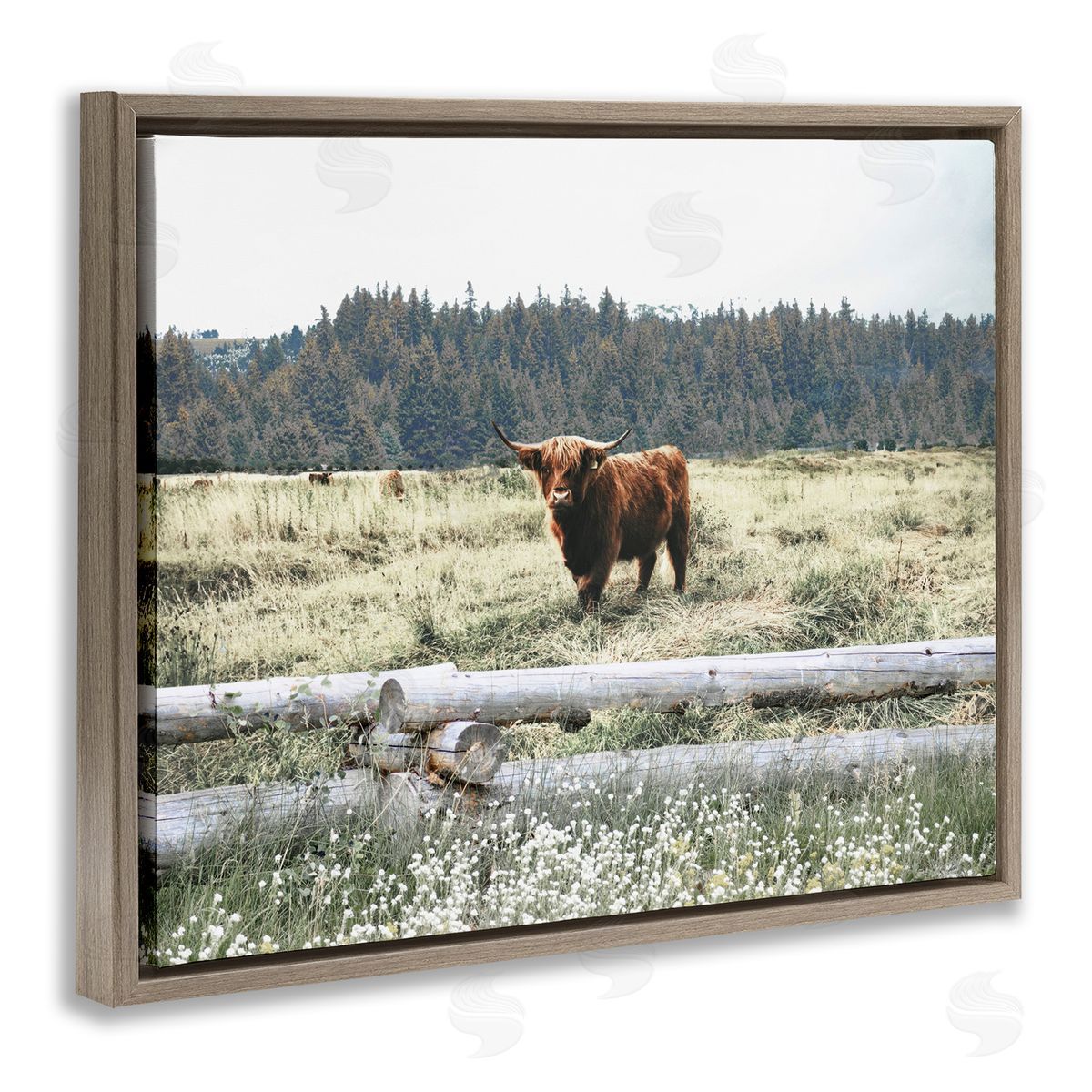Cattle Overlooking Fence Brown Floating Frame Canvas Wall Art, Home Decor by Gail Peck