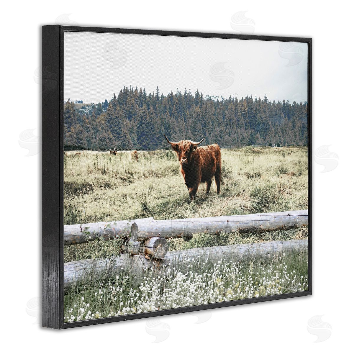 Cattle Overlooking Fence Black Frame Print Wall Art, Home Decor by Gail Peck