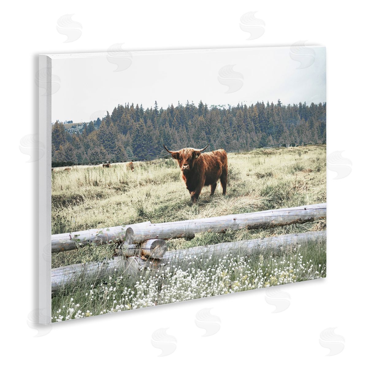 Cattle Overlooking Fence Wood Plaque Wall Art, Home Decor by Gail Peck