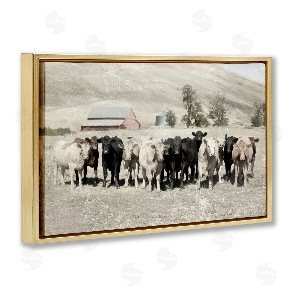 Varied Cattle on Farm Gold Floating Frame Canvas Wall Art, Home Decor by Rhonda Addison