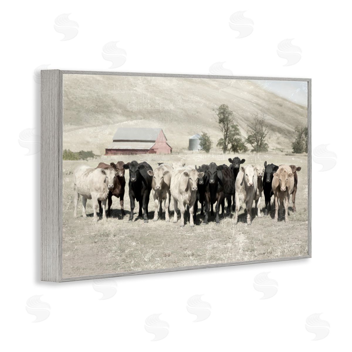 Varied Cattle on Farm Grey Frame Print Wall Art, Home Decor by Rhonda Addison