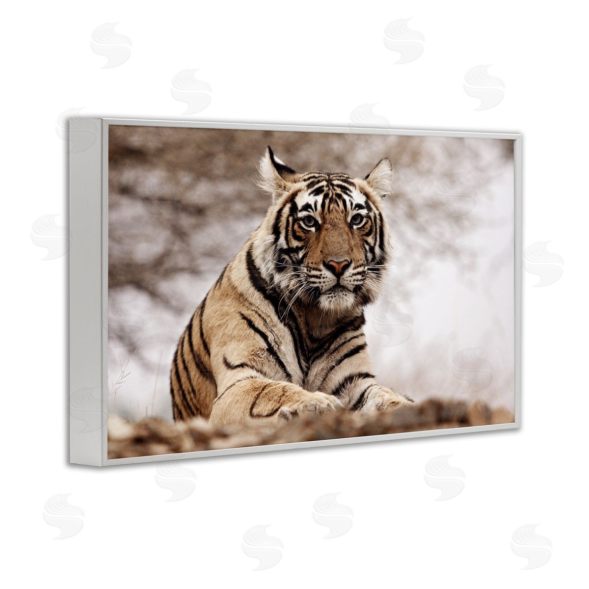 Strong Tiger Atop Hill White Frame Print Wall Art, Home Decor by Danita Delimont