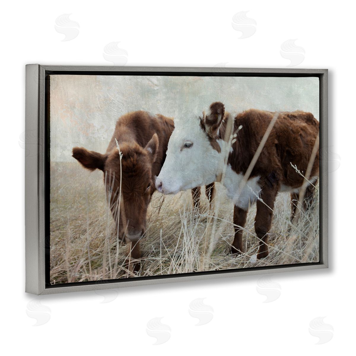 Baby Calf Pair in Grass Grey Floating Frame Canvas Wall Art, Home Decor by Carol Robinson