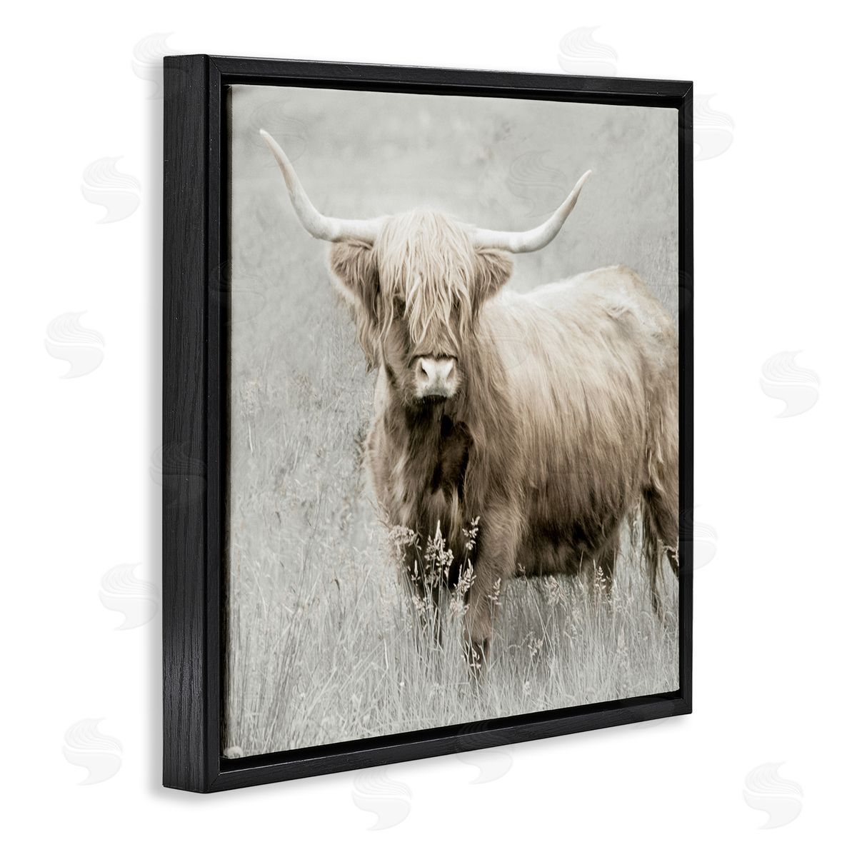 Subtle Longhorn Cattle Black Floating Frame Canvas Wall Art, Home Decor by Danita Delimont