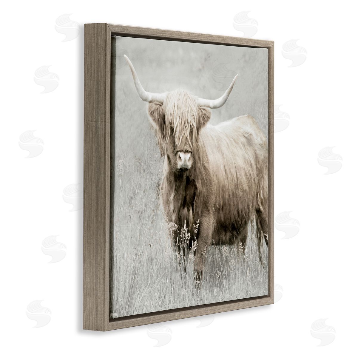 Subtle Longhorn Cattle Brown Floating Frame Canvas Wall Art, Home Decor by Danita Delimont