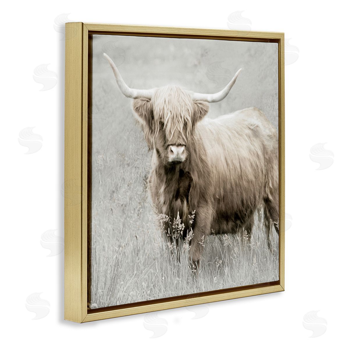 Subtle Longhorn Cattle Gold Floating Frame Canvas Wall Art, Home Decor by Danita Delimont