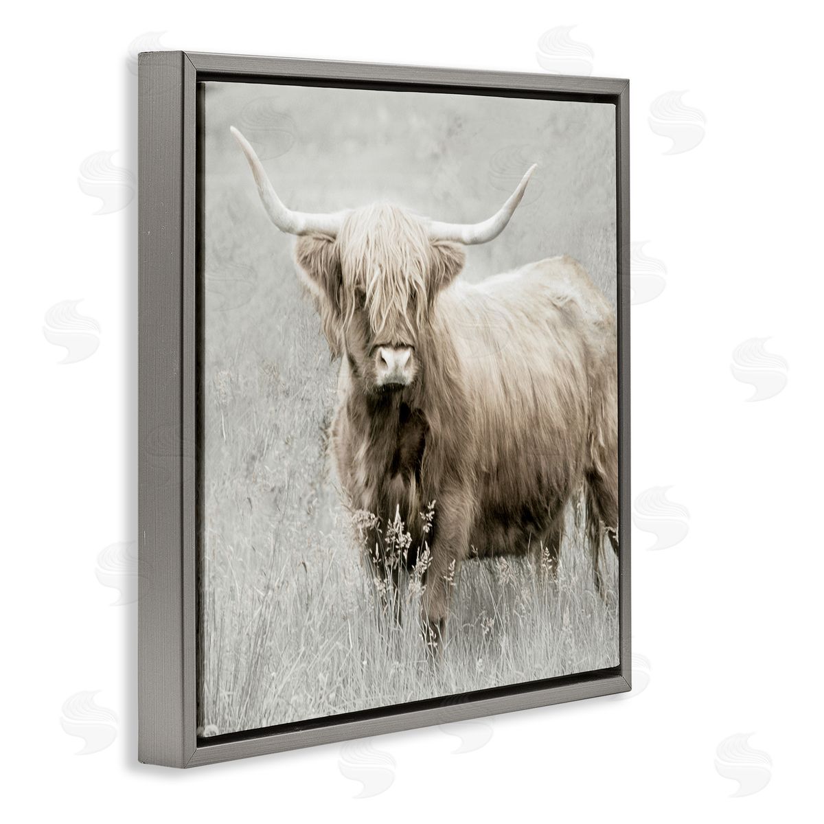 Subtle Longhorn Cattle Grey Floating Frame Canvas Wall Art, Home Decor by Danita Delimont