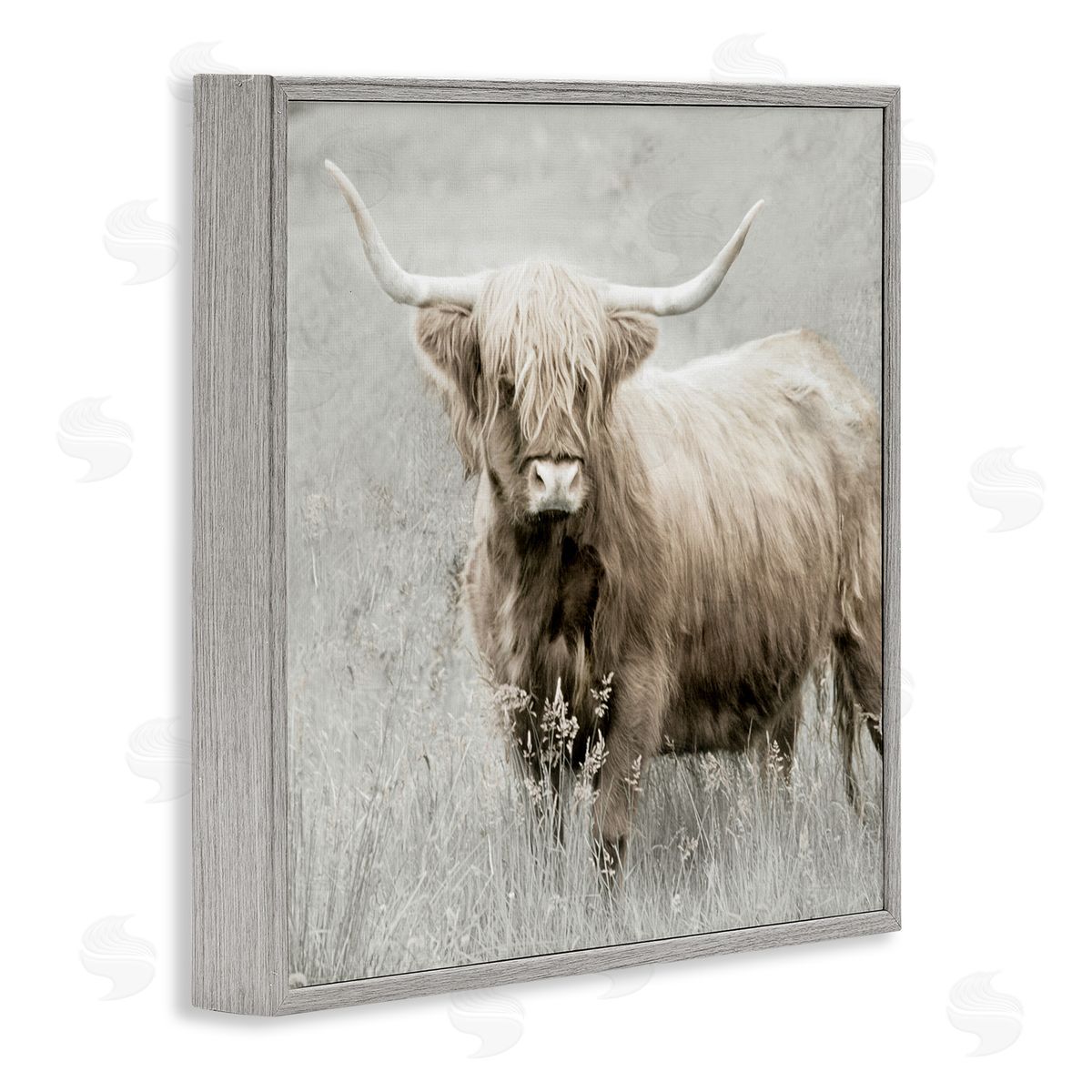 Subtle Longhorn Cattle Grey Frame Print Wall Art, Home Decor by Danita Delimont
