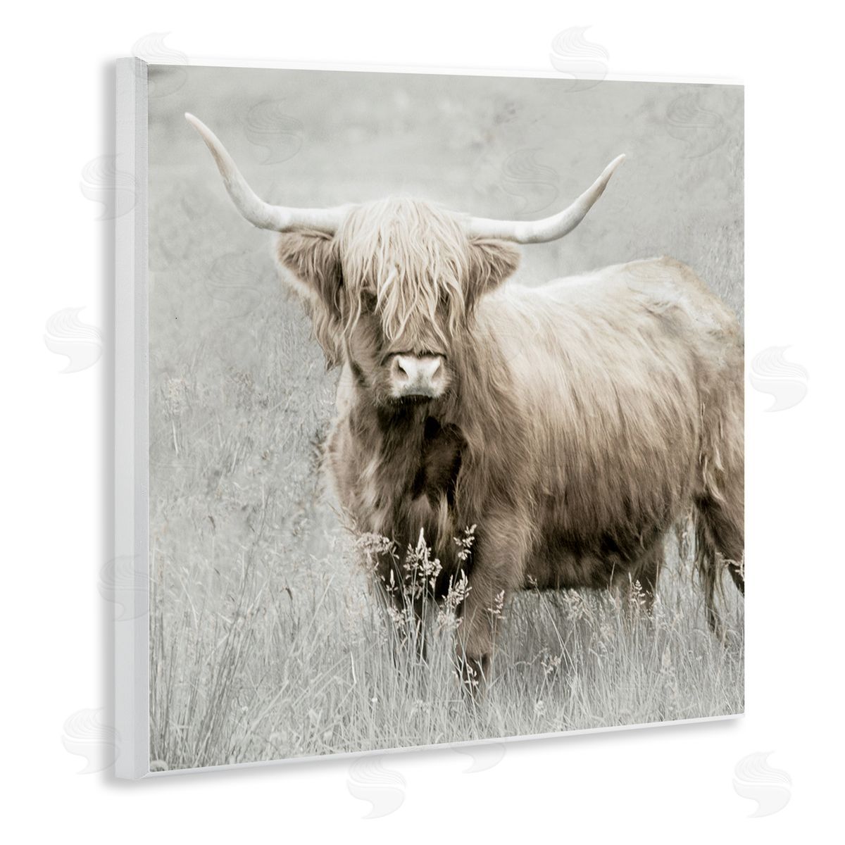 Subtle Longhorn Cattle Wood Plaque Wall Art, Home Decor by Danita Delimont