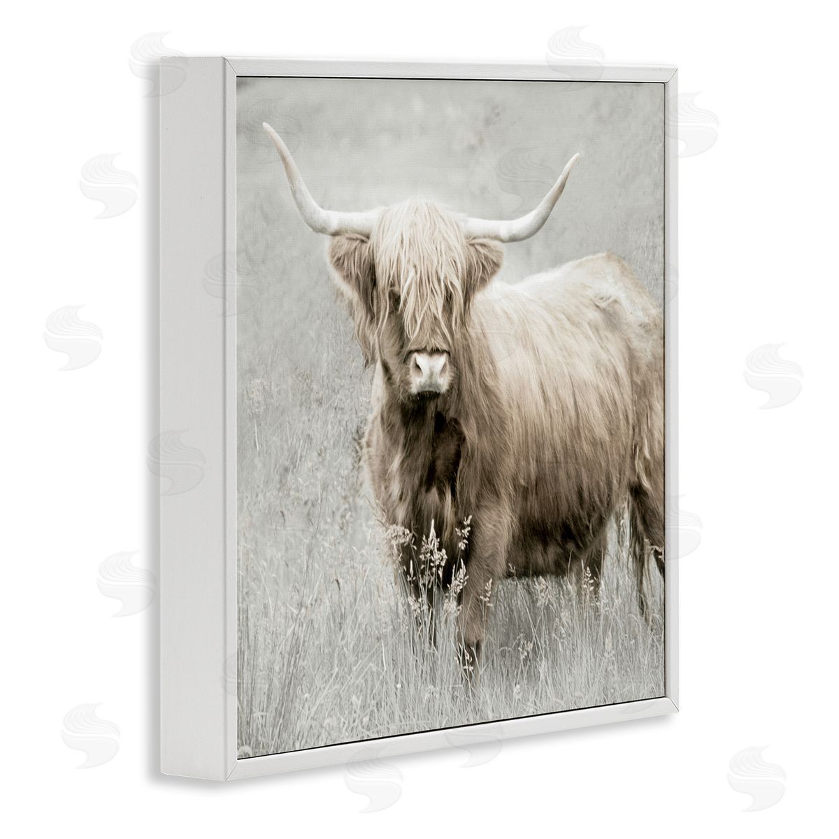 Subtle Longhorn Cattle White Frame Print Wall Art, Home Decor by Danita Delimont