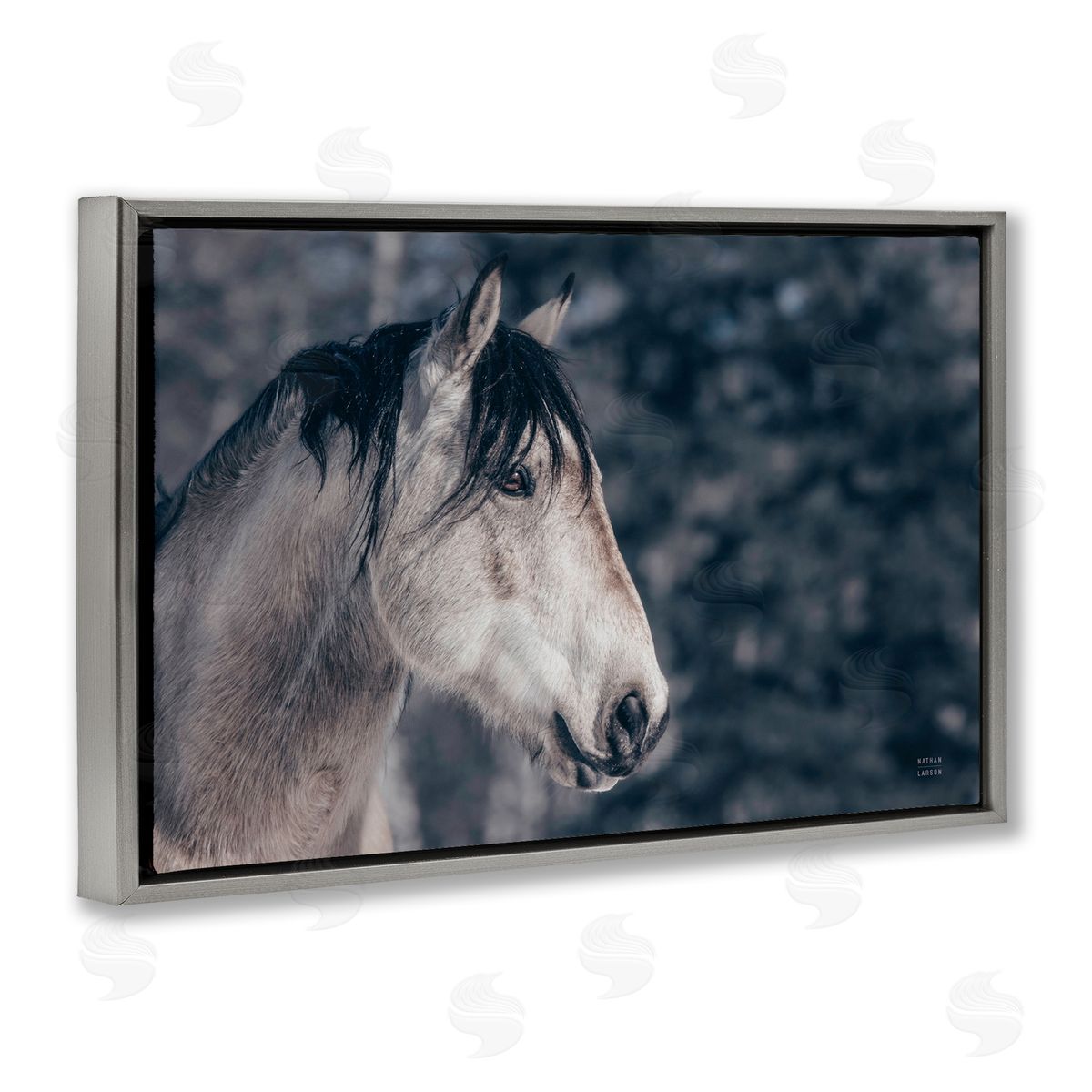 Intense Gaze Stallion Grey Floating Frame Canvas Wall Art, Home Decor by Nathan Larson