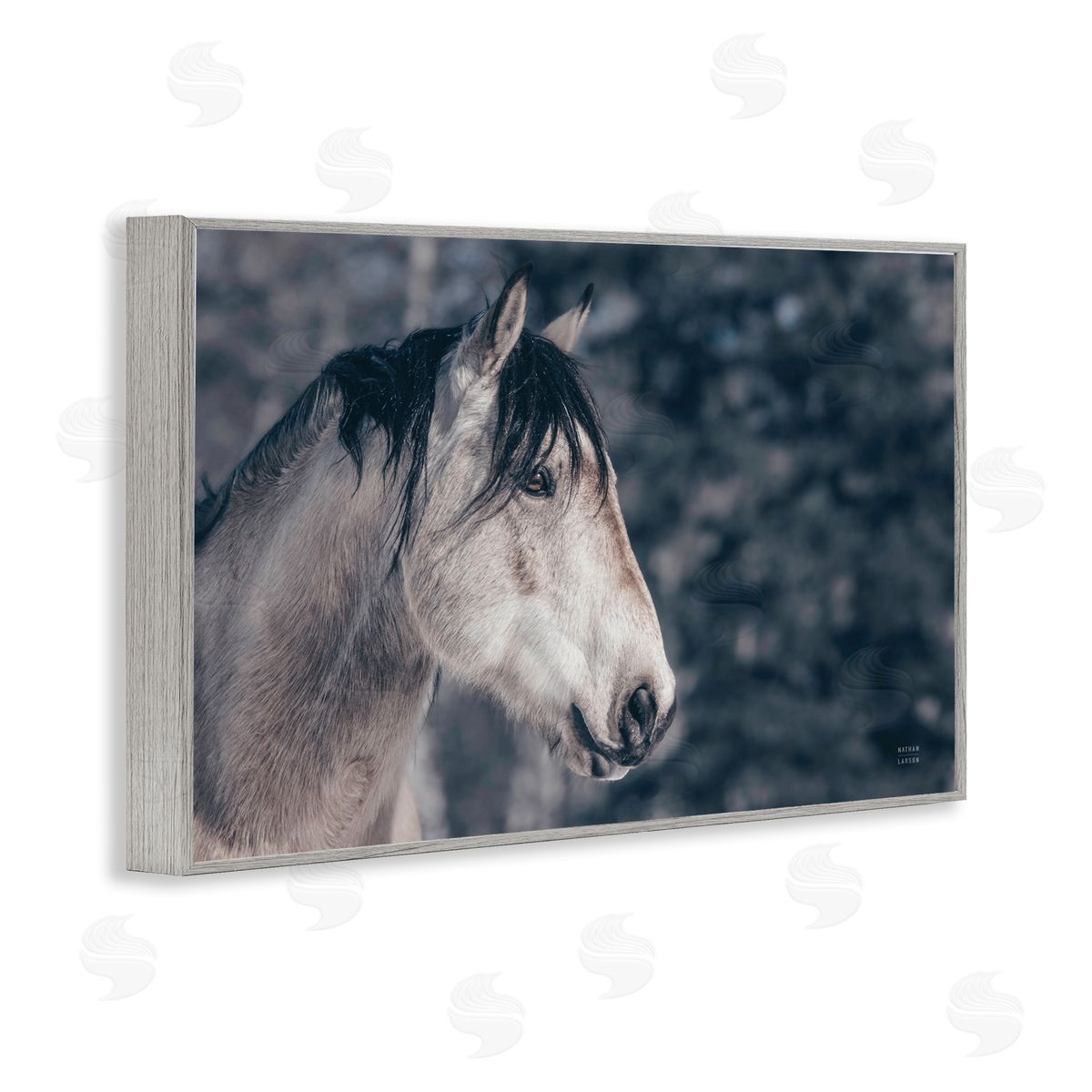 Intense Gaze Stallion Grey Frame Print Wall Art, Home Decor by Nathan Larson