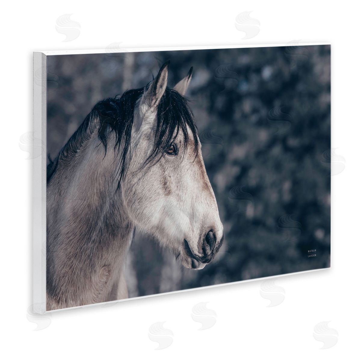 Intense Gaze Stallion Wood Plaque Wall Art, Home Decor by Nathan Larson
