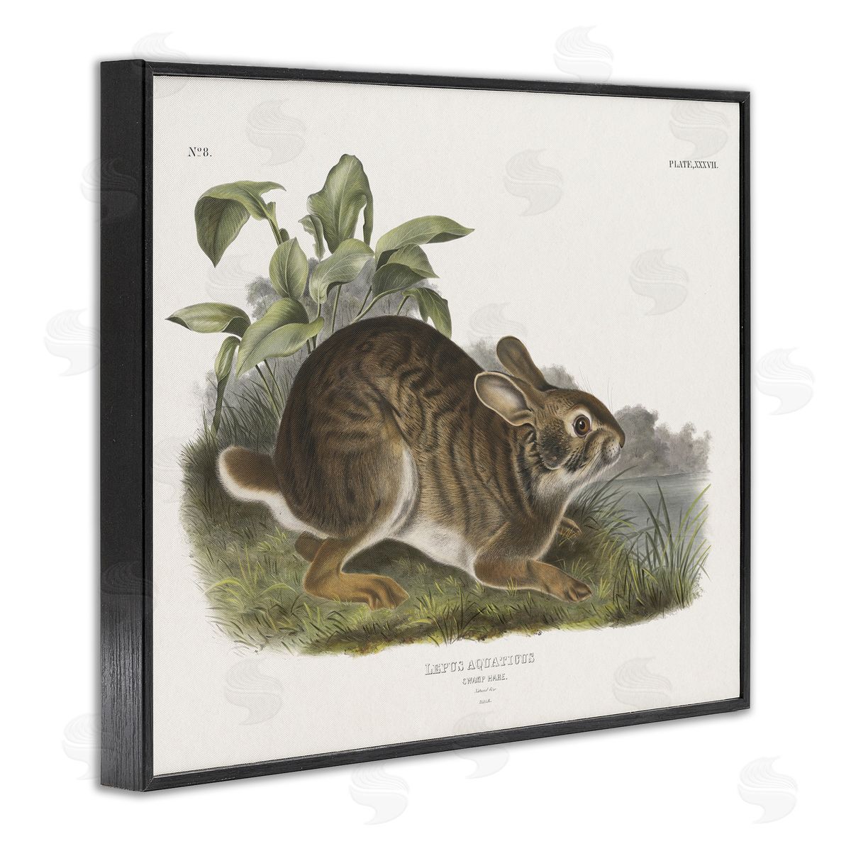 Vintage Cottage Hare Black Frame Print Wall Art, Home Decor by Wild Apple Portfolio