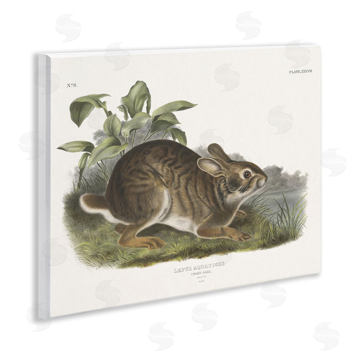 Vintage Cottage Hare Wood Plaque Wall Art, Home Decor by Wild Apple Portfolio