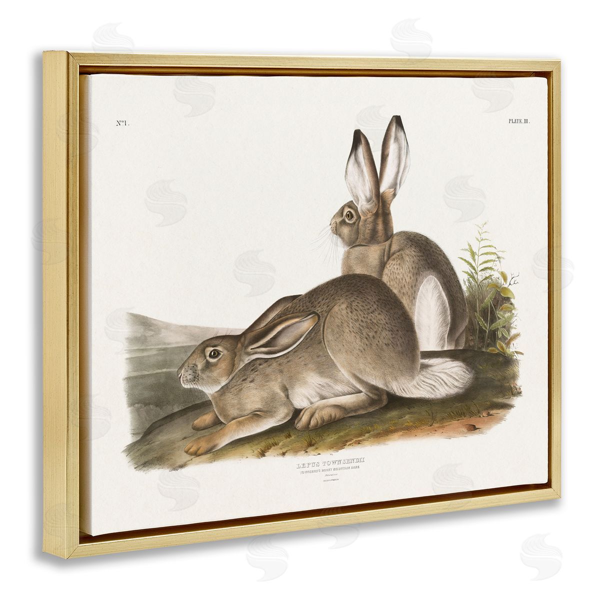 Traditional Cottage Hare Gold Floating Frame Canvas Wall Art, Home Decor by Wild Apple Portfolio