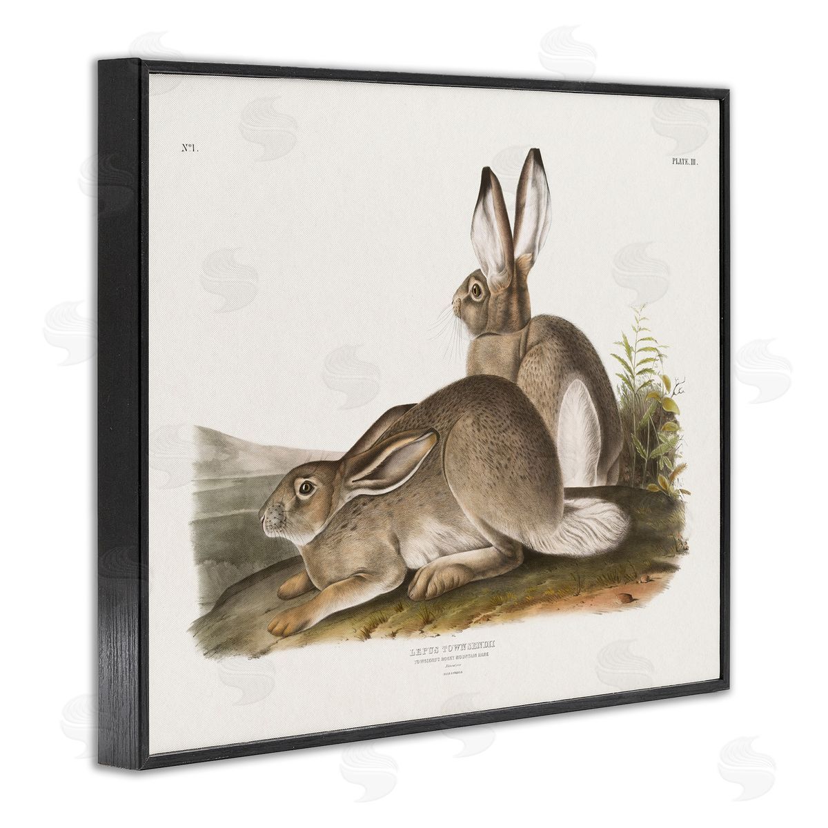 Traditional Cottage Hare Black Frame Print Wall Art, Home Decor by Wild Apple Portfolio