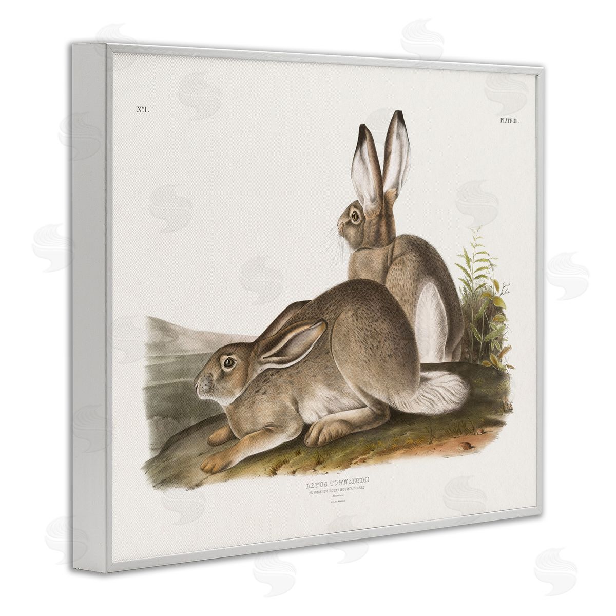 Traditional Cottage Hare White Frame Print Wall Art, Home Decor by Wild Apple Portfolio