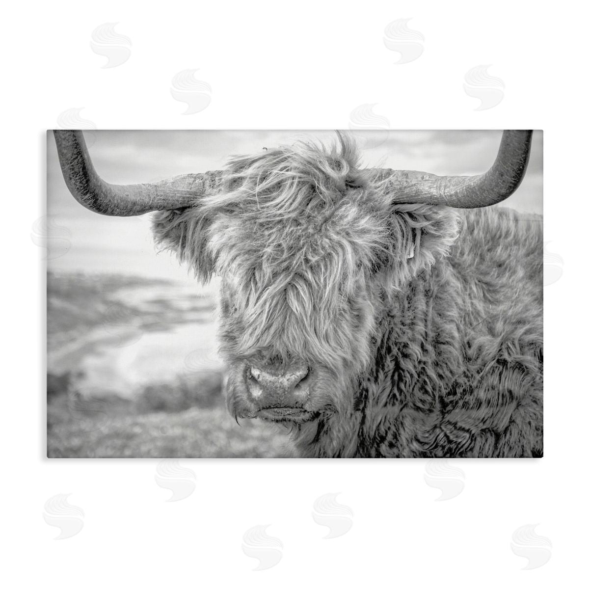 Close Up Fuzzy Cattle Canvas Wall Art, Home Decor by Jasper Huish