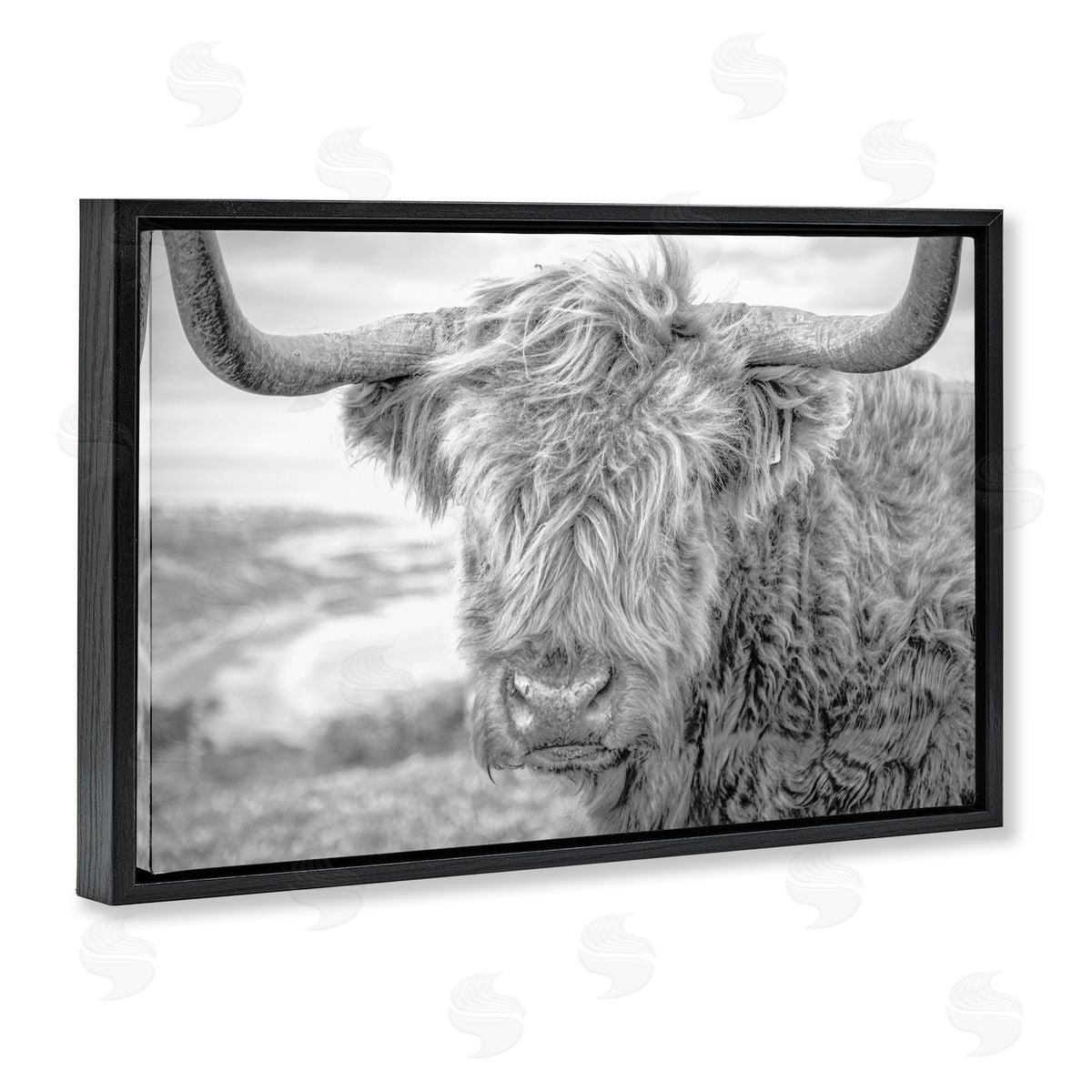 Close Up Fuzzy Cattle Black Floating Frame Canvas Wall Art, Home Decor by Jasper Huish