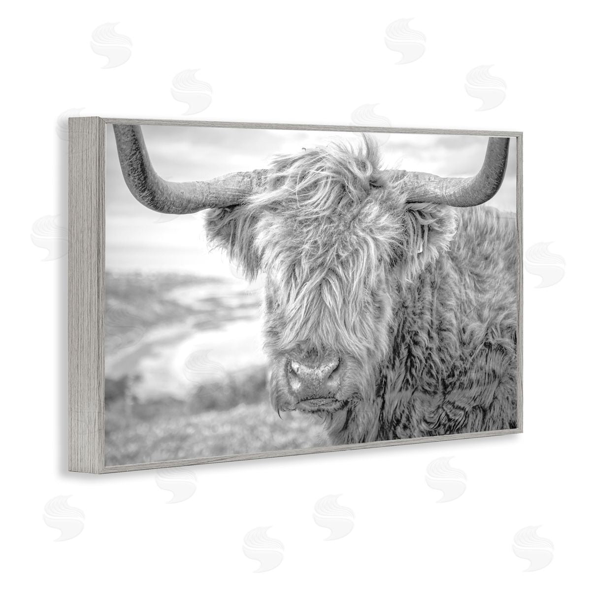 Close Up Fuzzy Cattle Grey Frame Print Wall Art, Home Decor by Jasper Huish