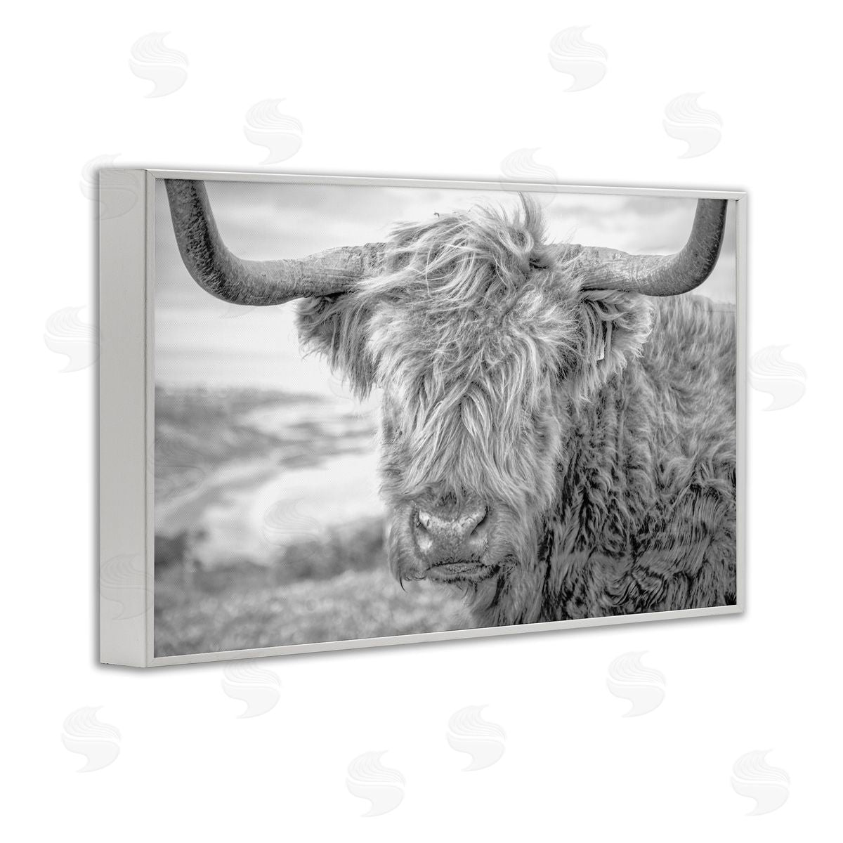 Close Up Fuzzy Cattle White Frame Print Wall Art, Home Decor by Jasper Huish