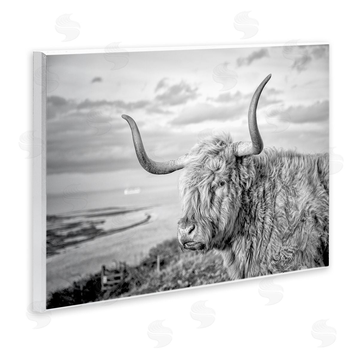 Cattle with Ocean Breeze Wood Plaque Wall Art, Home Decor by Jasper Huish