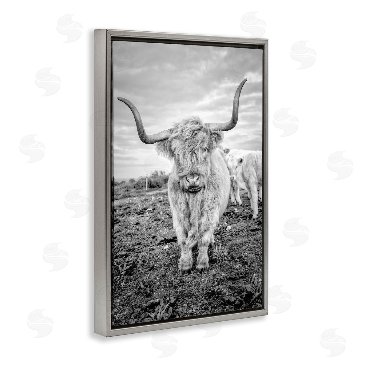 Longhorn Calf Family Grey Floating Frame Canvas Wall Art, Home Decor by Jasper Huish