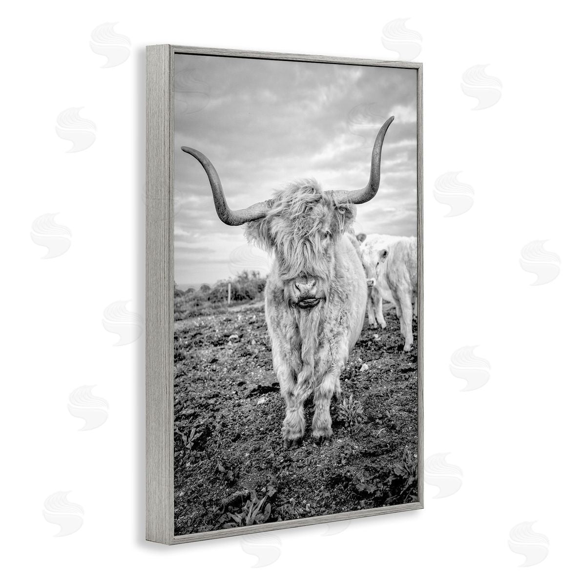 Longhorn Calf Family Grey Frame Print Wall Art, Home Decor by Jasper Huish