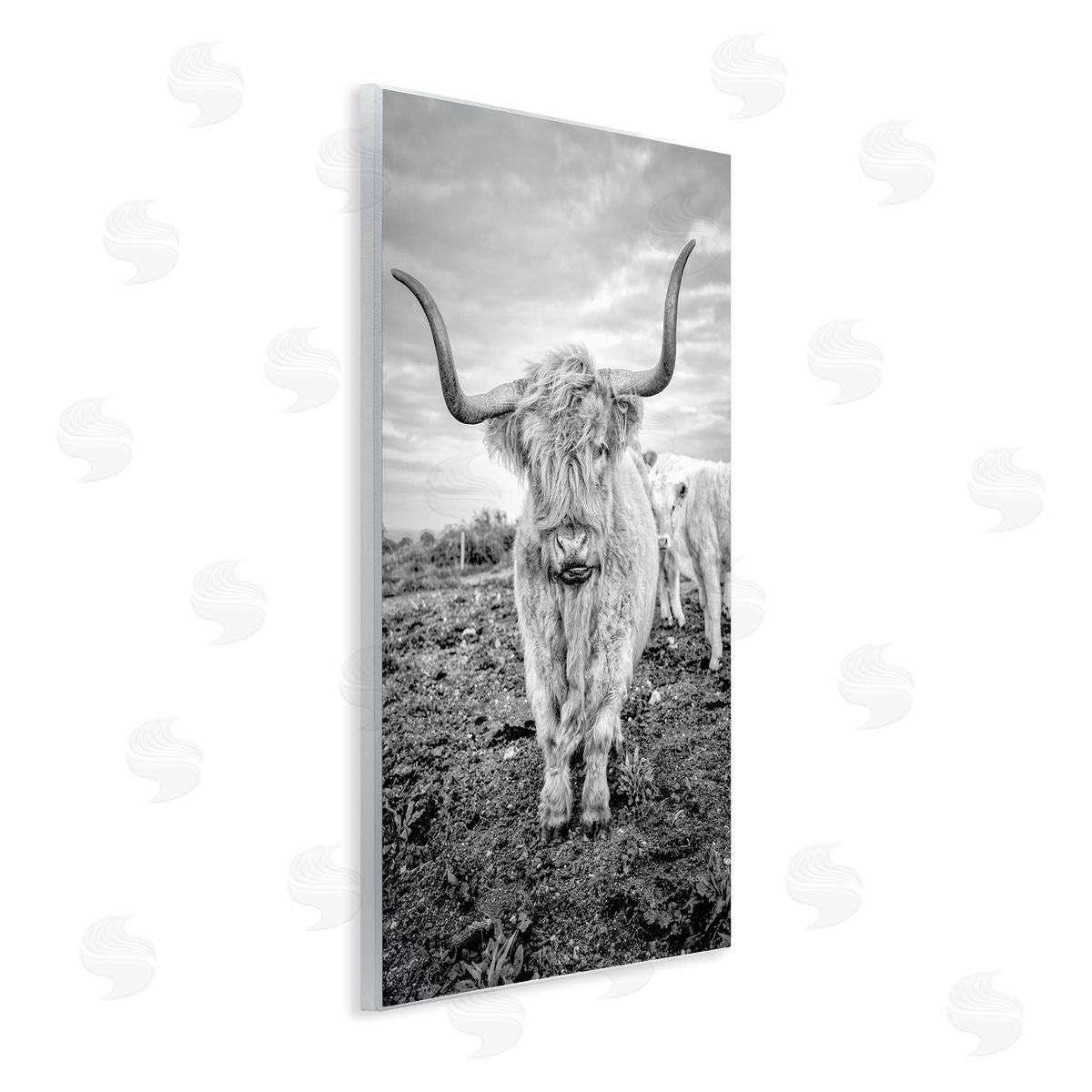 Longhorn Calf Family Wood Plaque Wall Art, Home Decor by Jasper Huish