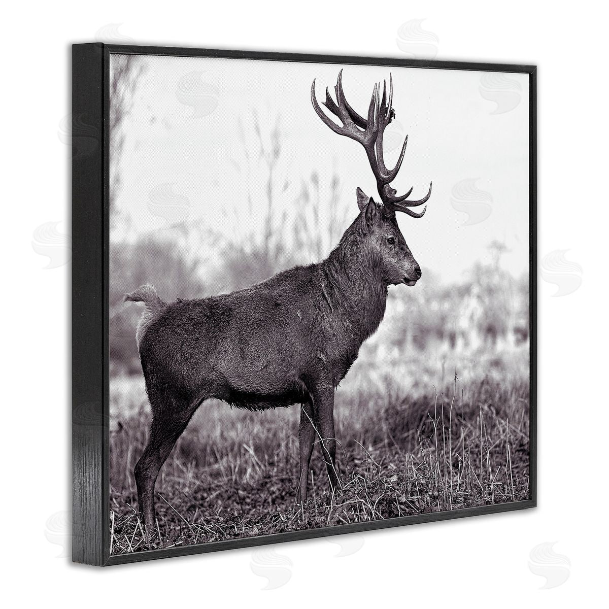 Elk in Peaceful Forest Black Frame Print Wall Art, Home Decor by Jasper Huish