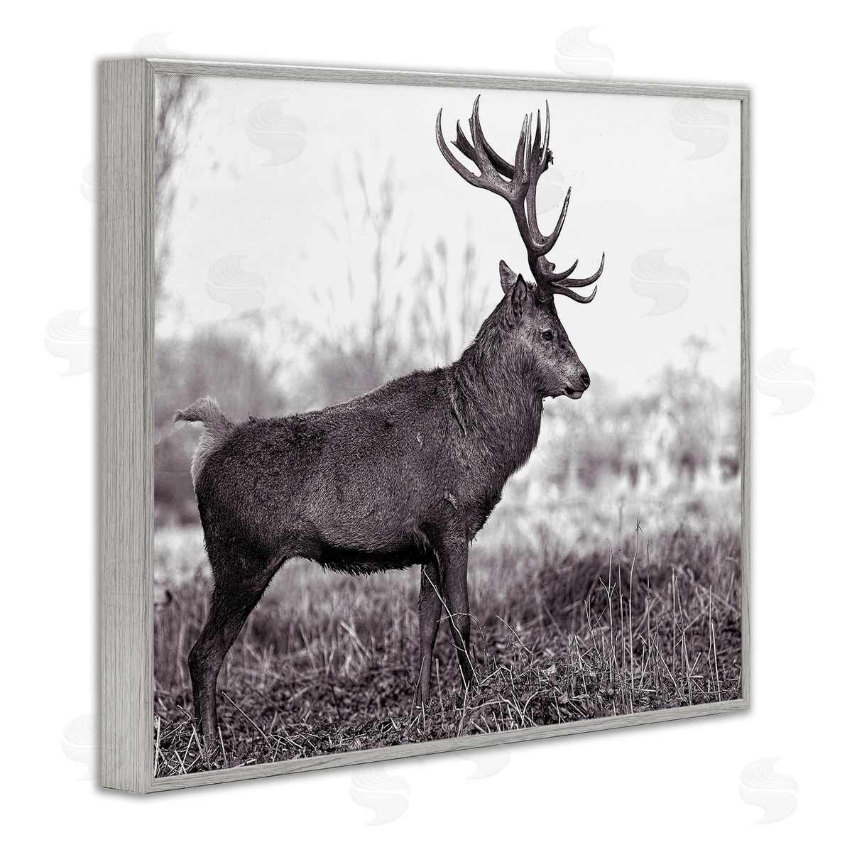 Elk in Peaceful Forest Grey Frame Print Wall Art, Home Decor by Jasper Huish