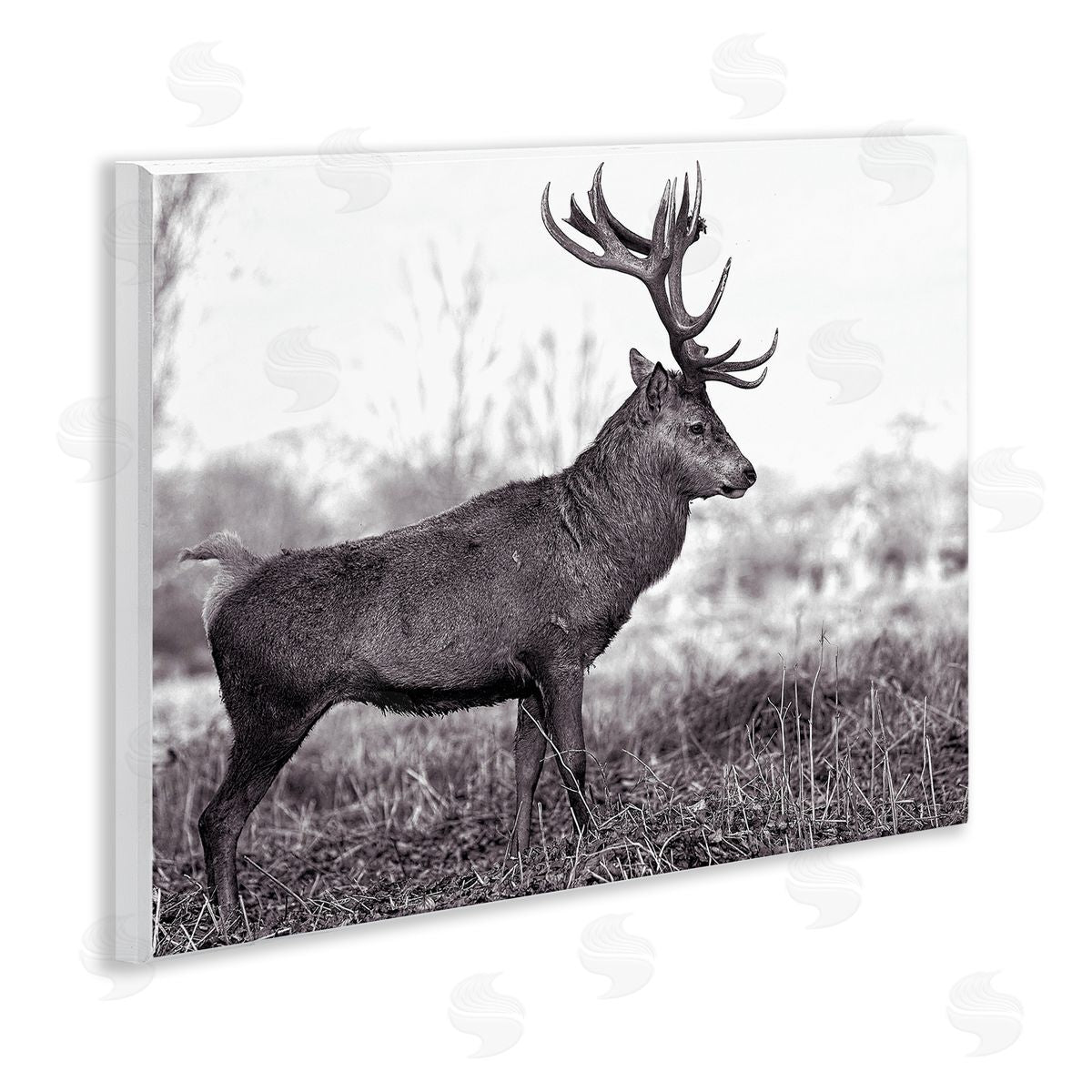 Elk in Peaceful Forest Wood Plaque Wall Art, Home Decor by Jasper Huish