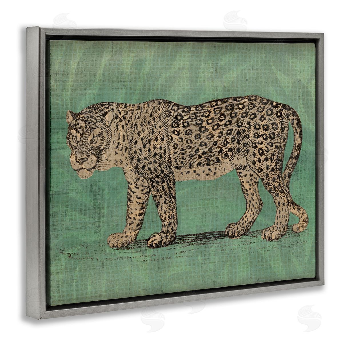 Fierce Leopard on Green Grey Floating Frame Canvas Wall Art, Home Decor by June Erica Vess