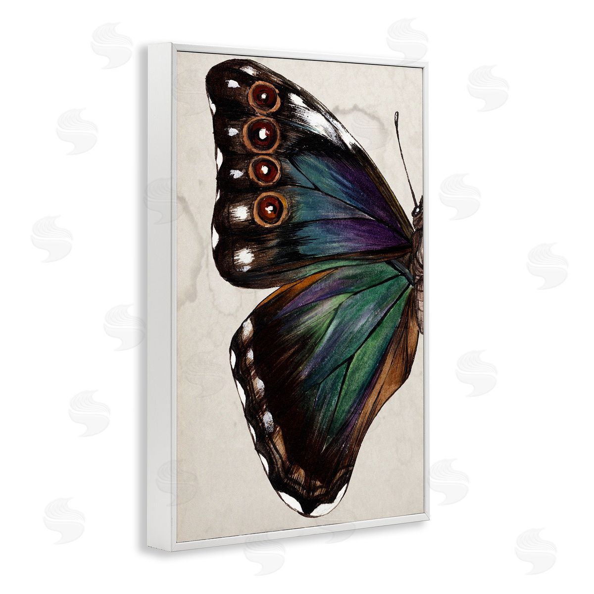 Traditional Butterfly Wing White Frame Print Wall Art, Home Decor by Melissa Wang