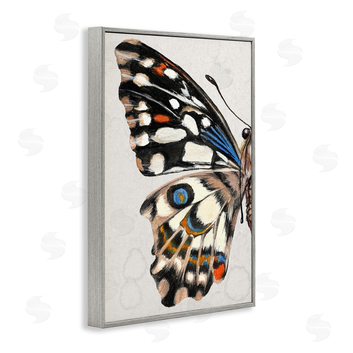 Spotted Butterfly Wing Grey Frame Print Wall Art, Home Decor by Melissa Wang