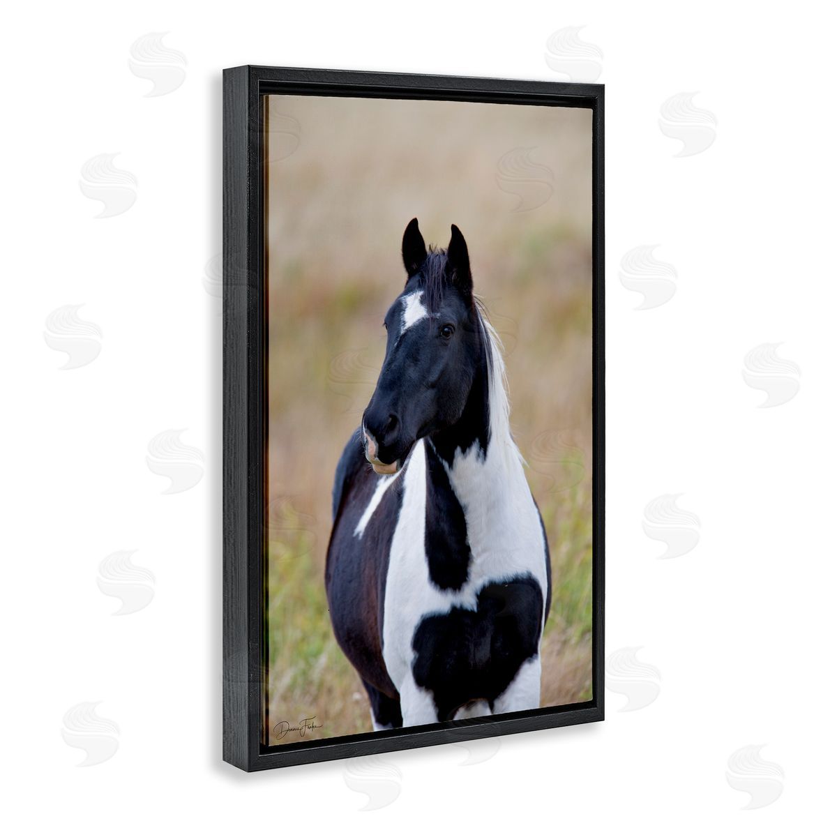 Black and White Foal Black Floating Frame Canvas Wall Art, Home Decor by Dennis Frates