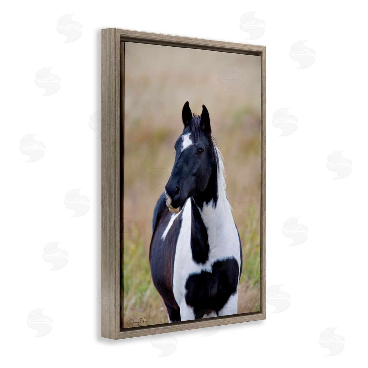 Black and White Foal Brown Floating Frame Canvas Wall Art, Home Decor by Dennis Frates