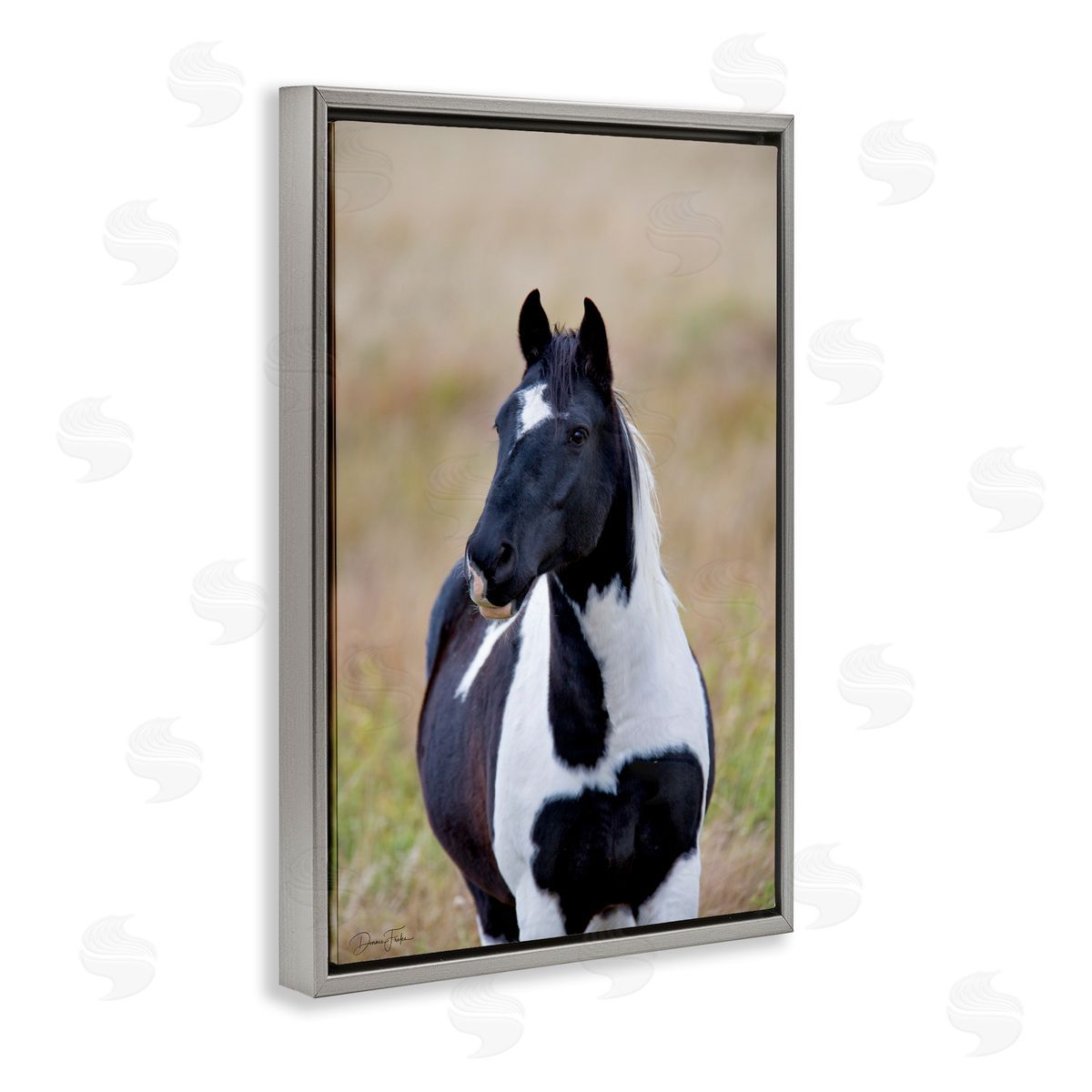 Black and White Foal Grey Floating Frame Canvas Wall Art, Home Decor by Dennis Frates