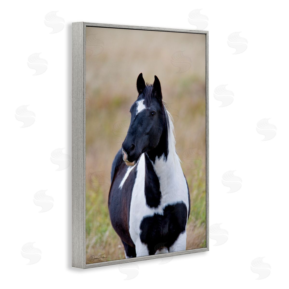 Black and White Foal Grey Frame Print Wall Art, Home Decor by Dennis Frates