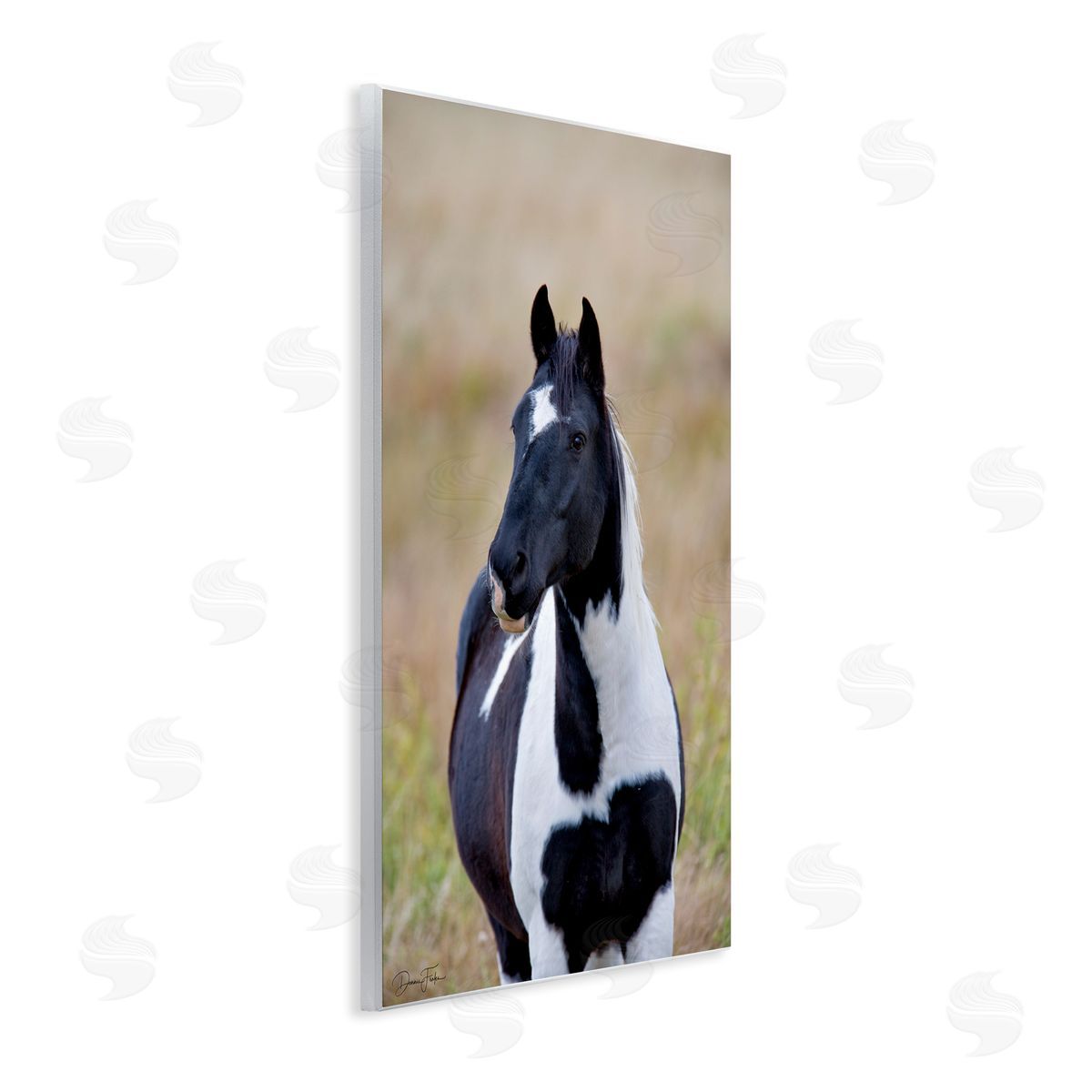 Black and White Foal Wood Plaque Wall Art, Home Decor by Dennis Frates