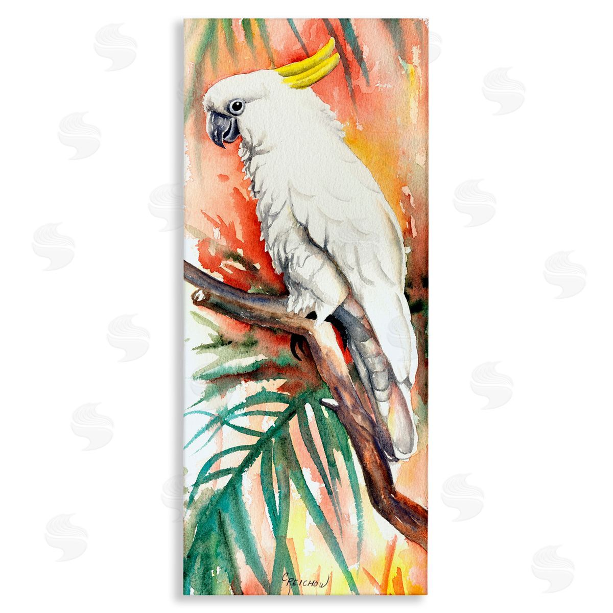 Sulfer Crested Cockatoo Canvas Wall Art, Home Decor by Christine Reichow